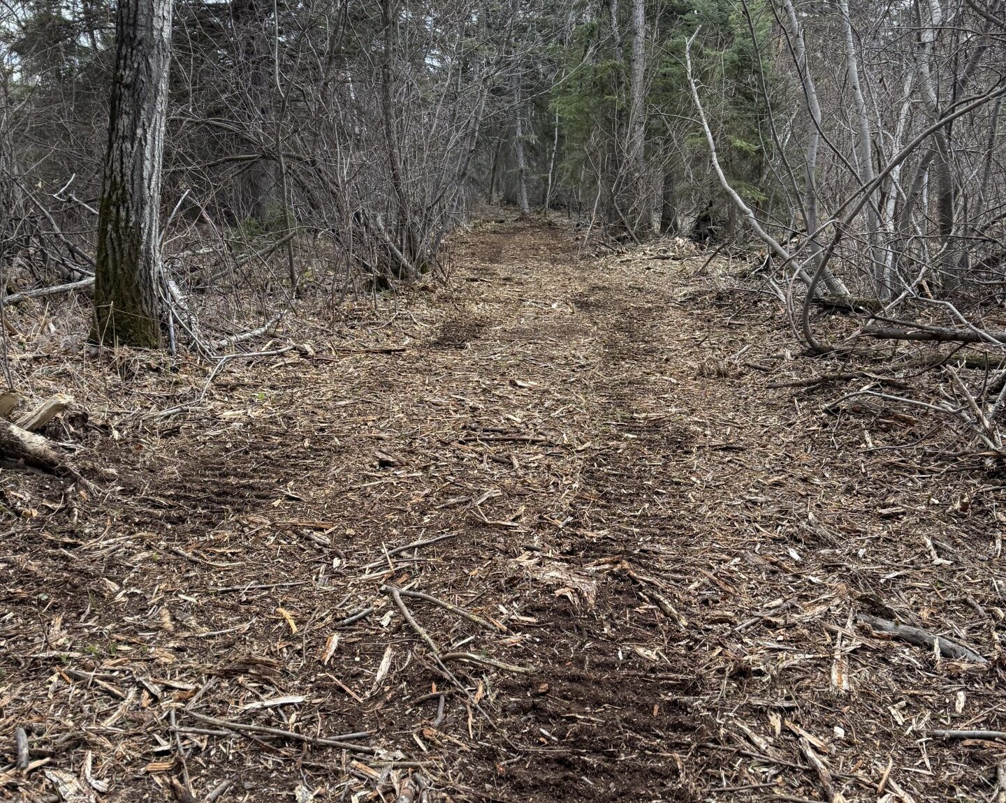 Grader clearing and leveling of the soil to install concrete slabs.2020